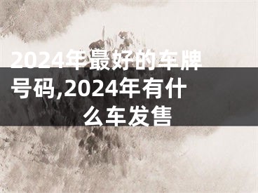 2024年最好的车牌号码,2024年有什么车发售