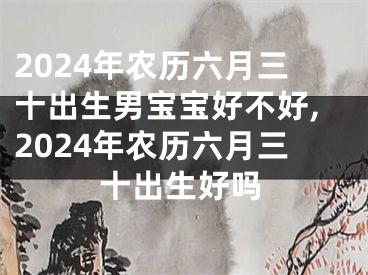 2024年农历六月三十出生男宝宝好不好,2024年农历六月三十出生好吗