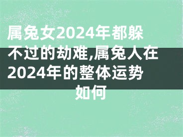 属兔女2024年都躲不过的劫难,属兔人在2024年的整体运势如何