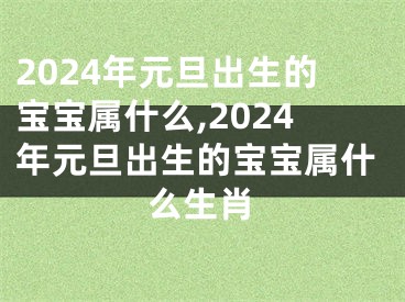 2024年元旦出生的宝宝属什么,2024年元旦出生的宝宝属什么生肖