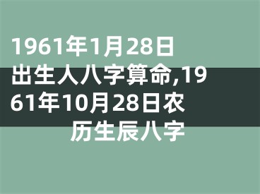1961年1月28日出生人八字算命,1961年10月28日农历生辰八字