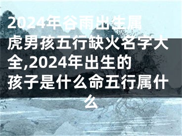2024年谷雨出生属虎男孩五行缺火名字大全,2024年出生的孩子是什么命五行属什么