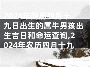 2024年阴历四月十九日出生的属牛男孩出生吉日和命运查询,2024年农历四月十九