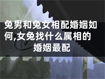 兔男和兔女相配婚姻如何,女兔找什么属相的婚姻最配