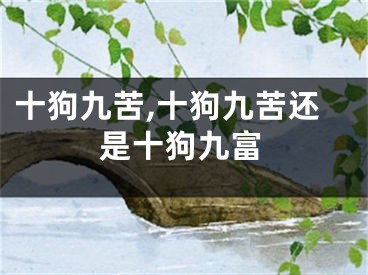 十狗九苦,十狗九苦还是十狗九富