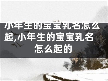 小年生的宝宝乳名怎么起,小年生的宝宝乳名怎么起的