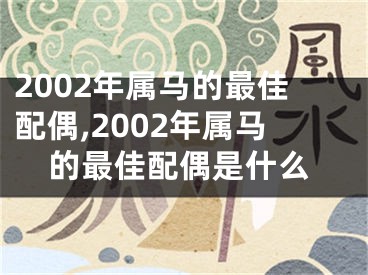 2002年属马的最佳配偶,2002年属马的最佳配偶是什么