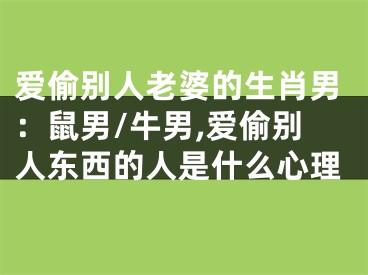 爱偷别人老婆的生肖男：鼠男/牛男,爱偷别人东西的人是什么心理