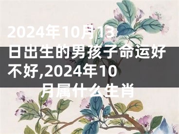 2024年10月13日出生的男孩子命运好不好,2024年10月属什么生肖