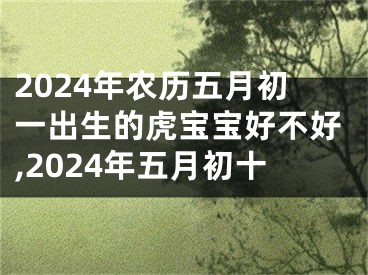 2024年农历五月初一出生的虎宝宝好不好,2024年五月初十