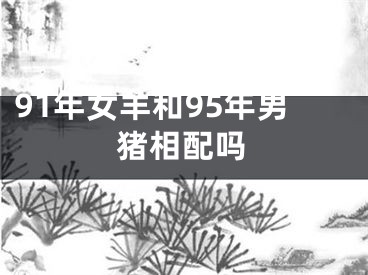 91年女羊和95年男猪相配吗
