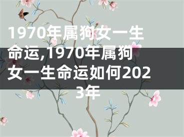 1970年属狗女一生命运,1970年属狗女一生命运如何2023年