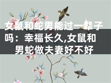 女鼠和蛇男能过一辈子吗：幸福长久,女鼠和男蛇做夫妻好不好