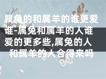 属兔的和属羊的谁更爱谁-属兔和属羊的人谁爱的更多些,属兔的人和属羊的人合得来吗