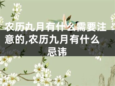 农历九月有什么需要注意的,农历九月有什么忌讳