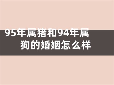 95年属猪和94年属狗的婚姻怎么样