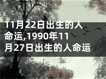 11月22日出生的人命运,1990年11月27日出生的人命运
