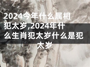 2024今年什么属相犯太岁,2024年什么生肖犯太岁什么是犯太岁