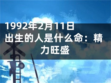 1992年2月11日出生的人是什么命：精力旺盛