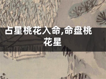 占星桃花入命,命盘桃花星