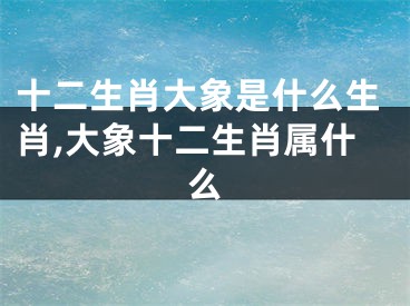 十二生肖大象是什么生肖,大象十二生肖属什么