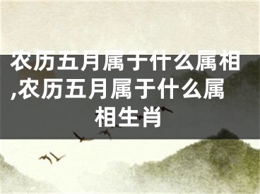 农历五月属于什么属相,农历五月属于什么属相生肖