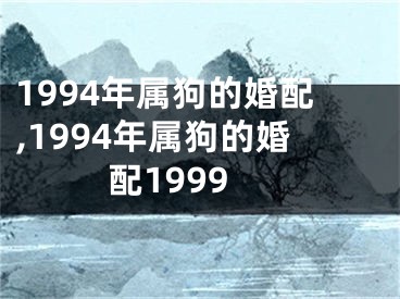 1994年属狗的婚配,1994年属狗的婚配1999