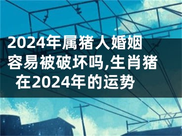 2024年属猪人婚姻容易被破坏吗,生肖猪在2024年的运势