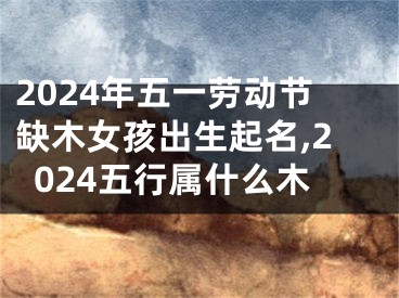 2024年五一劳动节缺木女孩出生起名,2024五行属什么木