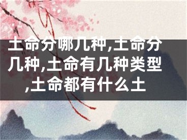 土命分哪几种,土命分几种,土命有几种类型,土命都有什么土