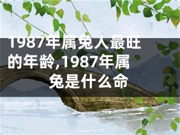 1987年属兔人最旺的年龄,1987年属兔是什么命