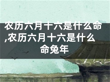 农历六月十六是什么命,农历六月十六是什么命兔年