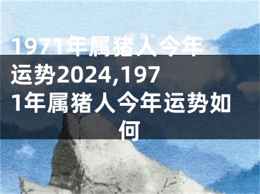 1971年属猪人今年运势2024,1971年属猪人今年运势如何