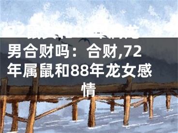 72鼠女和88年属龙男合财吗：合财,72年属鼠和88年龙女感情