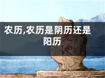 农历,农历是阴历还是阳历