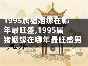 1995属猪姻缘在哪年最旺盛,1995属猪姻缘在哪年最旺盛男