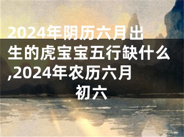 2024年阴历六月出生的虎宝宝五行缺什么,2024年农历六月初六
