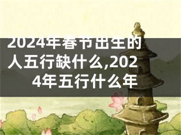 2024年春节出生的人五行缺什么,2024年五行什么年
