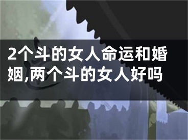 2个斗的女人命运和婚姻,两个斗的女人好吗