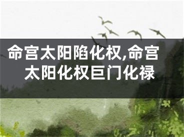 命宫太阳陷化权,命宫太阳化权巨门化禄