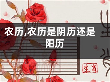 农历,农历是阴历还是阳历