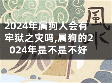 2024年属狗人会有牢狱之灾吗,属狗的2024年是不是不好