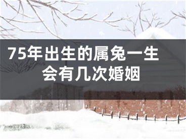 75年出生的属兔一生会有几次婚姻