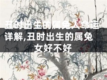 丑时出生的属兔人命运详解,丑时出生的属兔女好不好