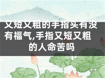 又短又粗的手指头有没有福气,手指又短又粗的人命苦吗