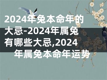 2024年兔本命年的大忌-2024年属兔有哪些大忌,2024年属兔本命年运势