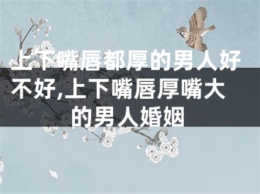 上下嘴唇都厚的男人好不好,上下嘴唇厚嘴大的男人婚姻