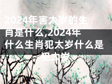 2024年害太岁的生肖是什么,2024年什么生肖犯太岁什么是犯太岁