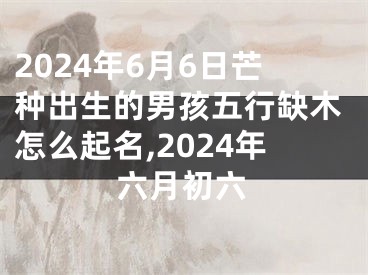 2024年6月6日芒种出生的男孩五行缺木怎么起名,2024年六月初六