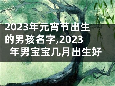 2023年元宵节出生的男孩名字,2023年男宝宝几月出生好